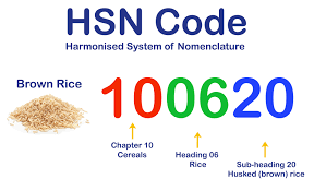 CaptainBiz: HSN Code Understanding Harmonized System Nomenclature