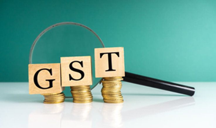 CaptainBiz: GST