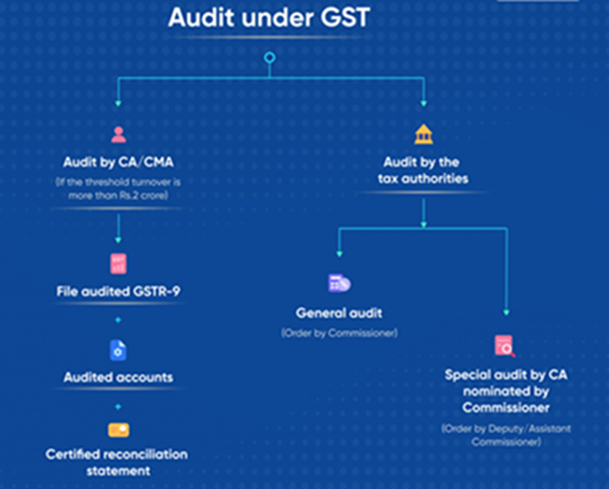 CaptainBiz: audit under GST