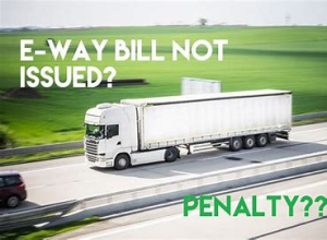 CaptainBiz: e-waybill not issued