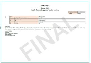 CaptainBiz: format_of_form_gstr-1