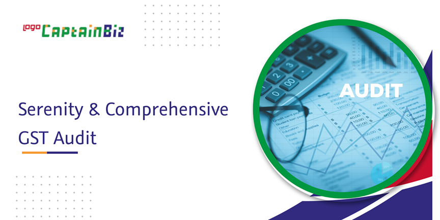 CaptainBiz: serenity & comprehensive GST audit