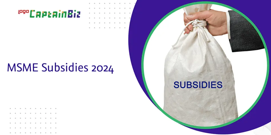 MSME Subsidies 2025: Government Schemes & Benefits | CaptainBiz